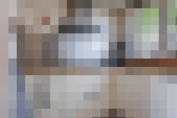 Zadelmaker 5 IJsselstein thumbnail 7