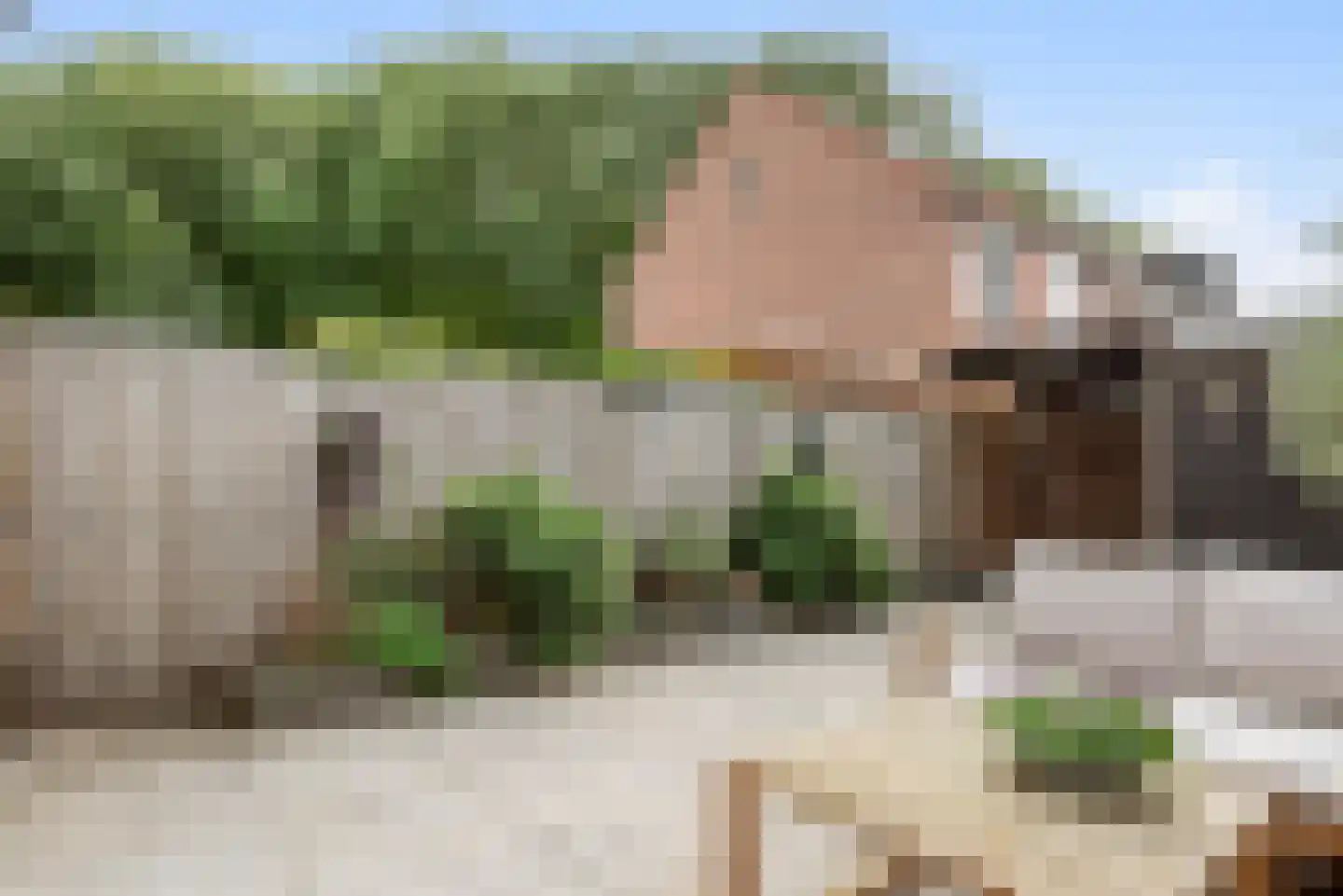 Zadelmaker 54 Alphen aan den Rijn thumbnail 22