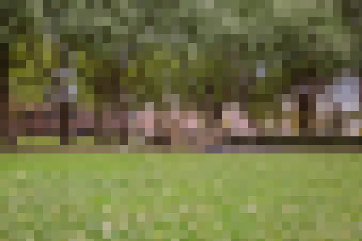 Zadelmaker 54 Alphen aan den Rijn thumbnail 46