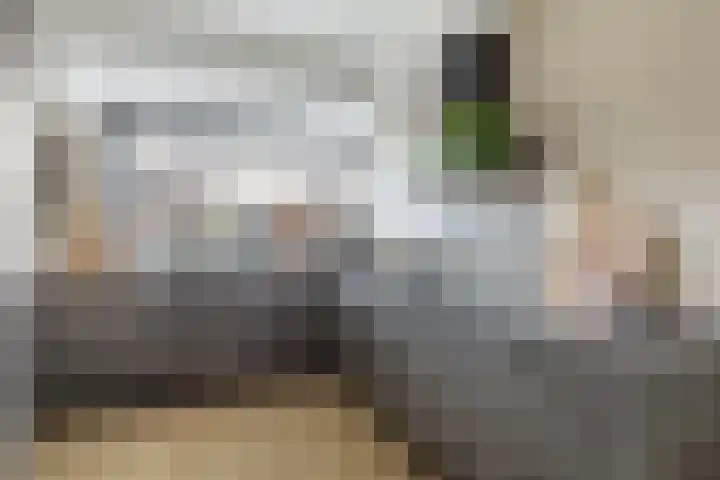 Zadelmaker 55 Oldenzaal thumbnail 12