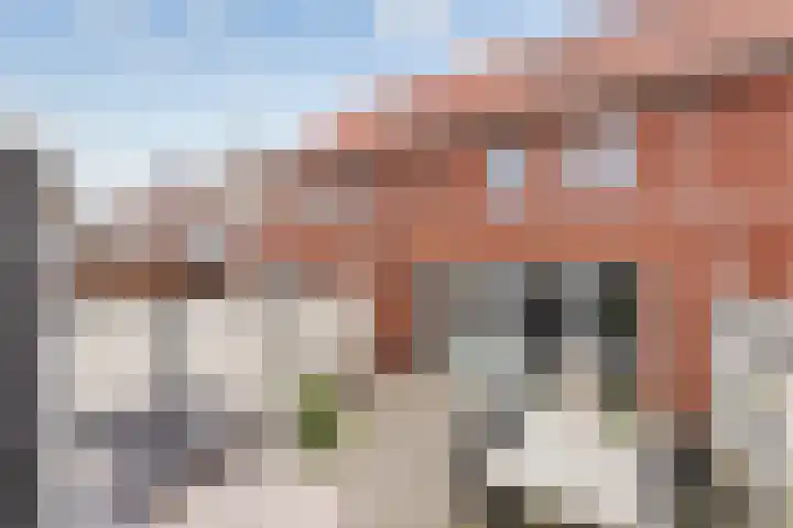 Zadelmaker 55 Oldenzaal thumbnail 19