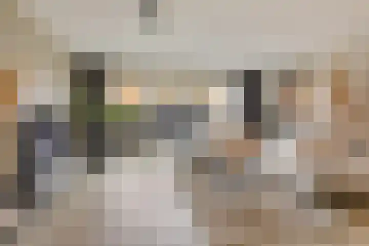 Zadelmaker 55 Oldenzaal thumbnail 6
