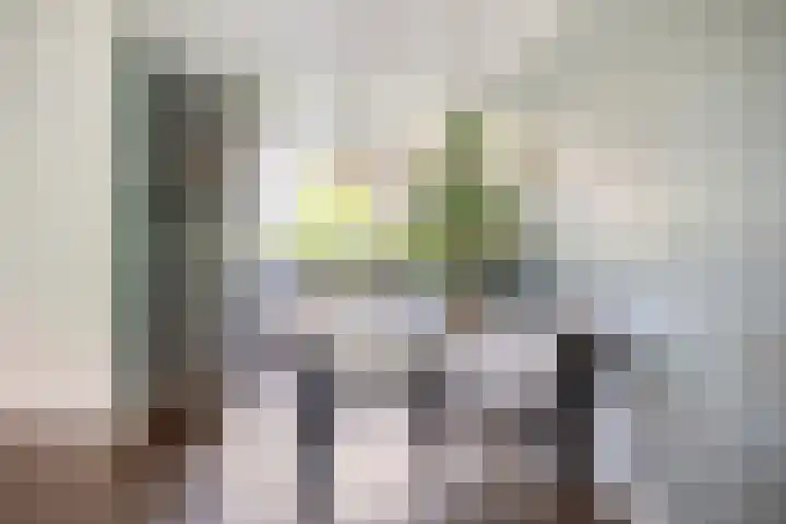 Zadelmaker 57 Oldenzaal thumbnail 10