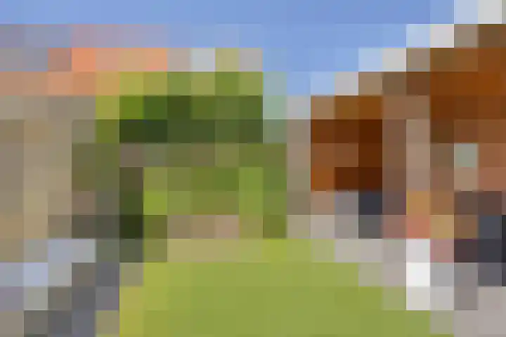 Zadelmaker 57 Oldenzaal thumbnail 24