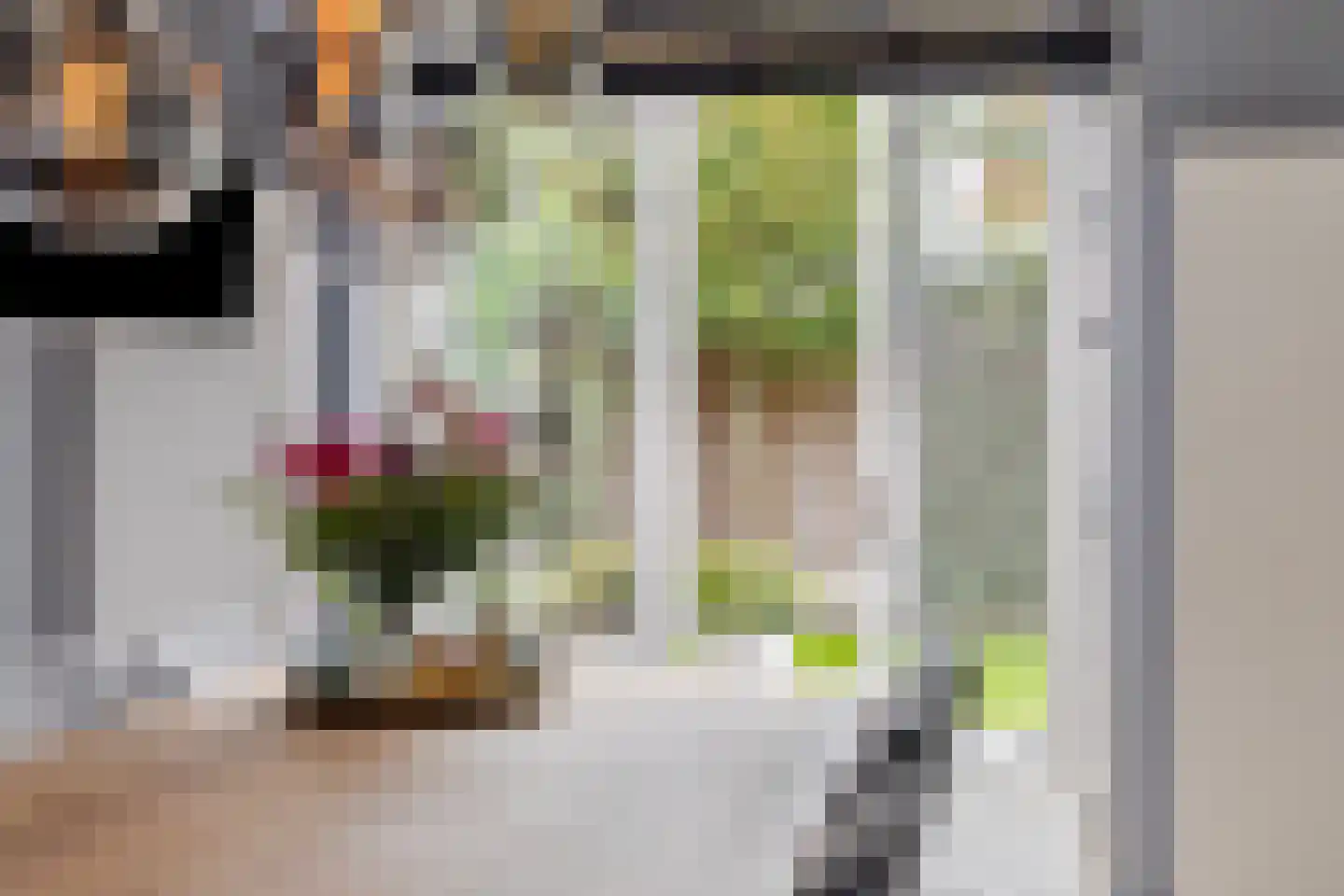 Zadelmaker 6 Oldenzaal thumbnail 12