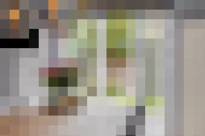 Zadelmaker 6 Oldenzaal thumbnail 12