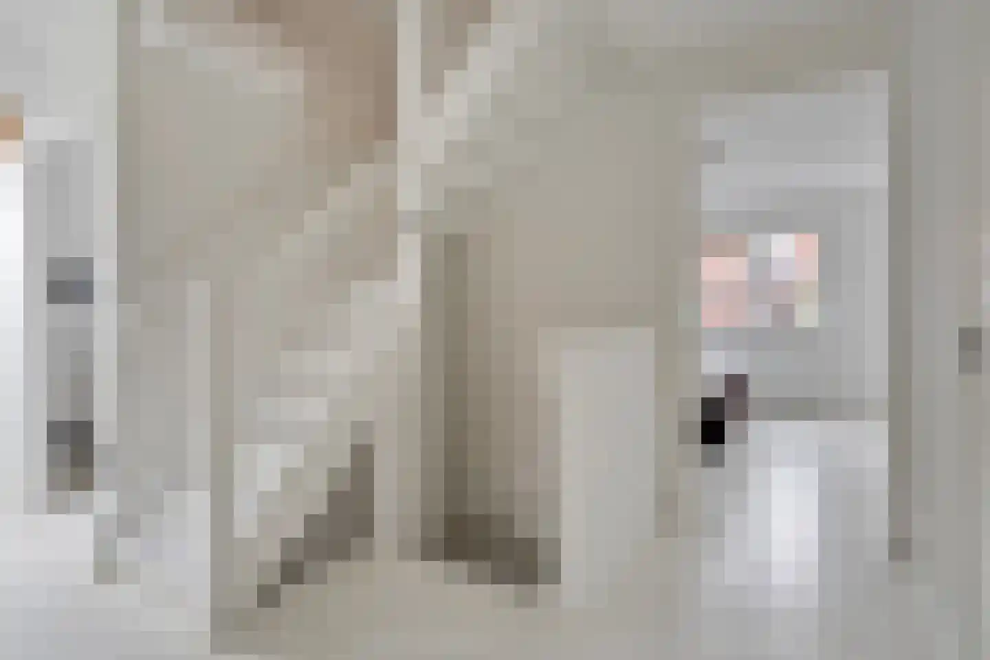 Zadelmaker 6 Oldenzaal thumbnail 18