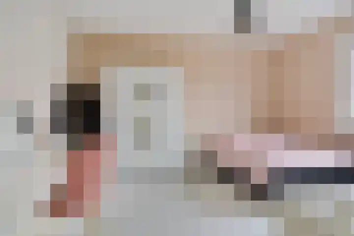 Zadelmaker 6 Oldenzaal thumbnail 22