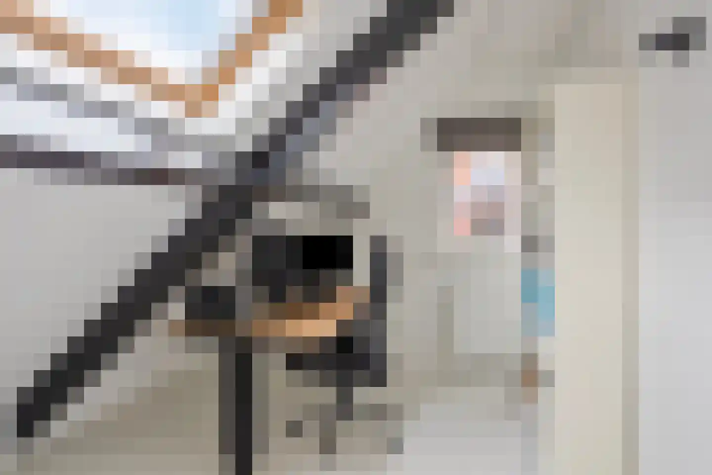 Zadelmaker 6 Oldenzaal thumbnail 25