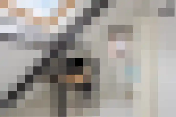 Zadelmaker 6 Oldenzaal thumbnail 25
