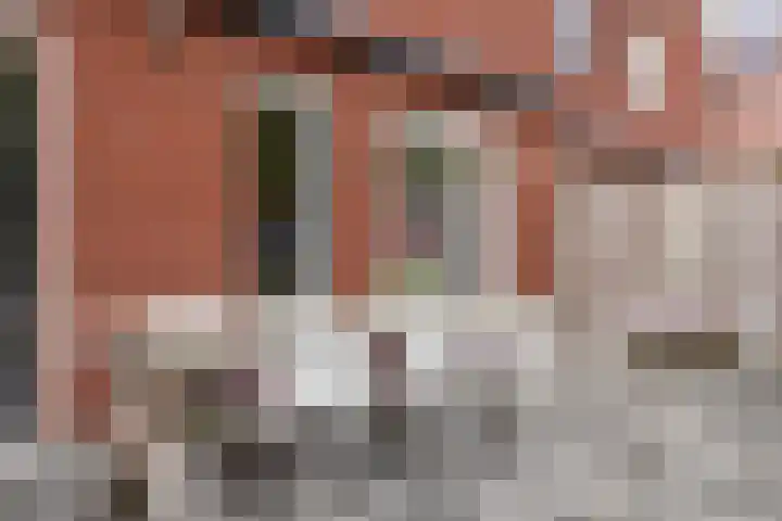 Zadelmaker 6 Oldenzaal thumbnail 37