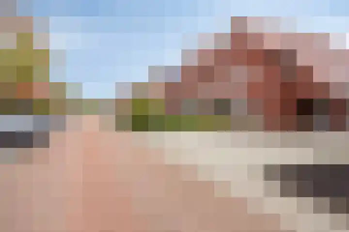 Zadelmaker 6 Oldenzaal thumbnail 40