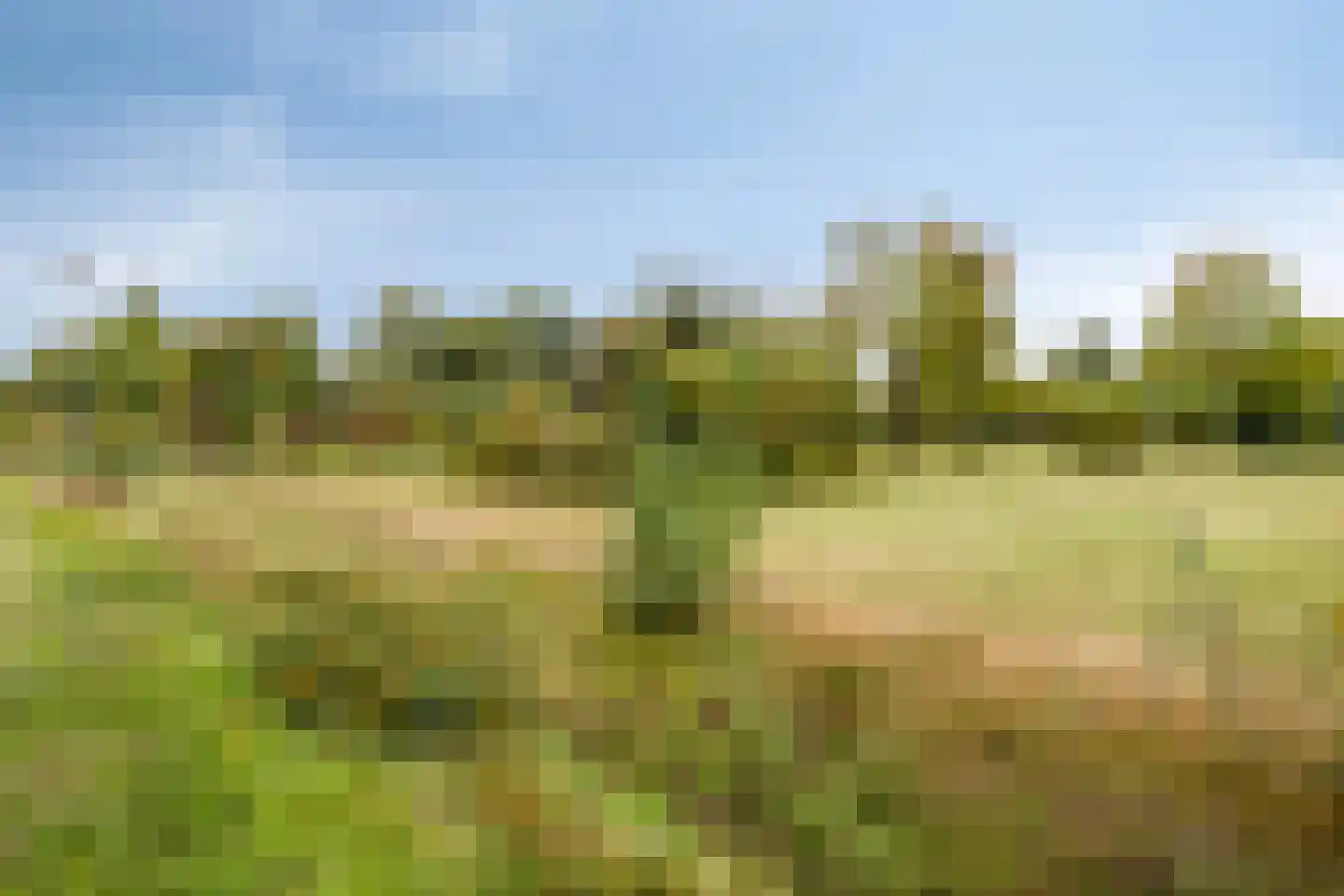Zadelmaker 6 Oldenzaal thumbnail 41