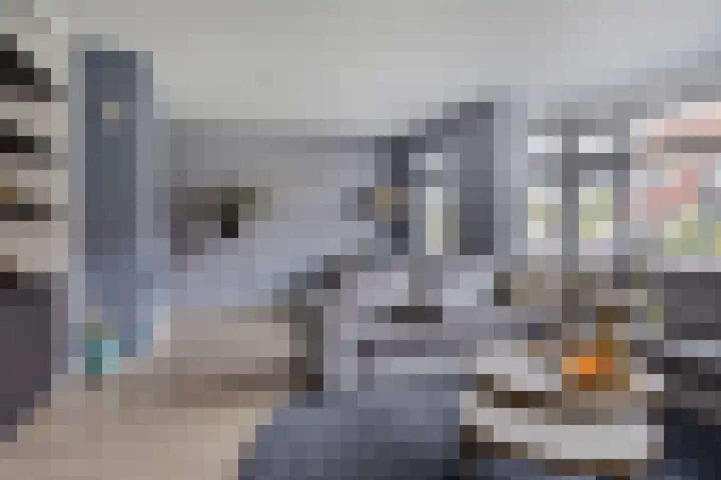 Zadelmaker 6 Oldenzaal thumbnail 5