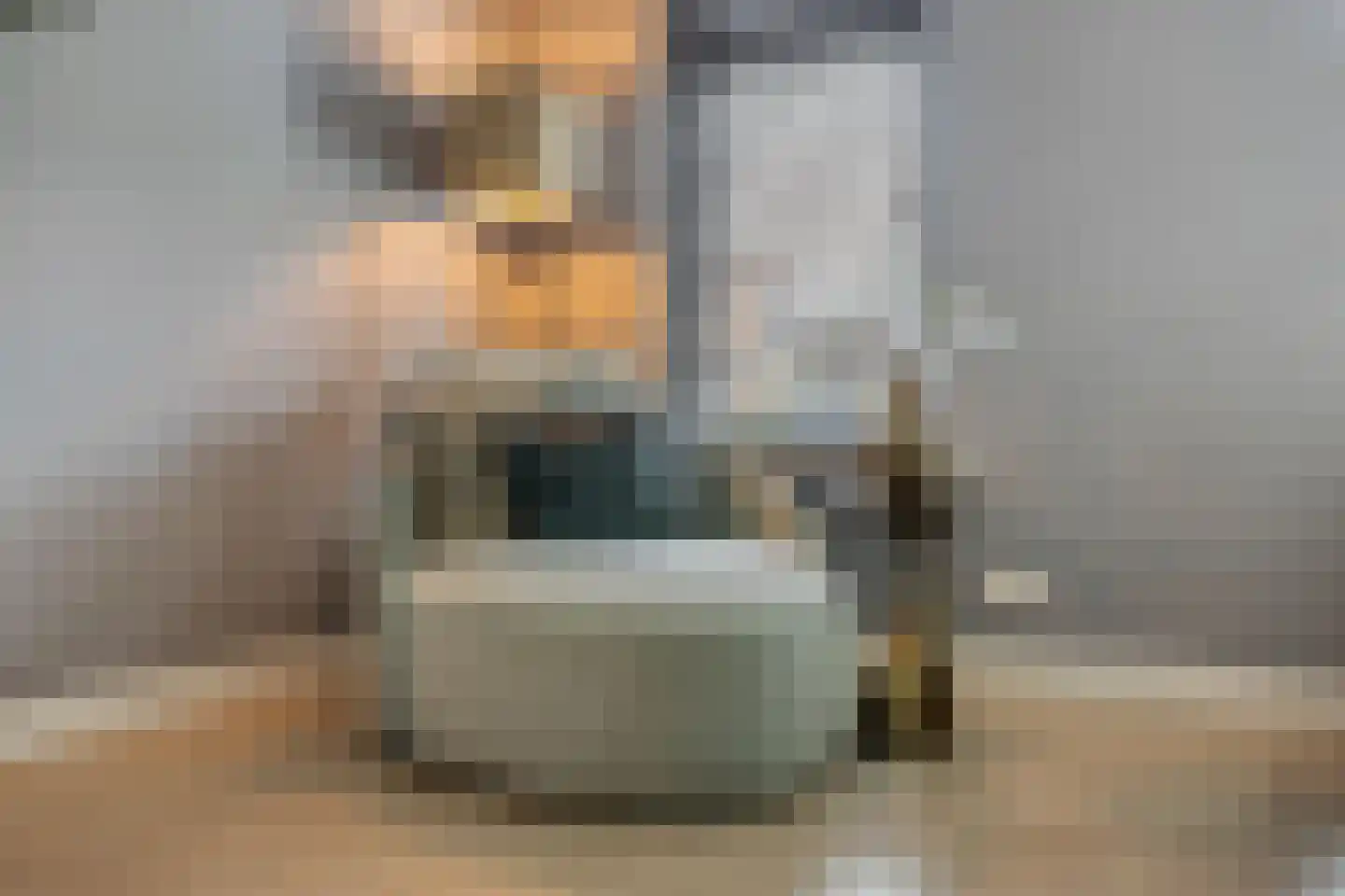 Zadelmaker 6 Oldenzaal thumbnail 6