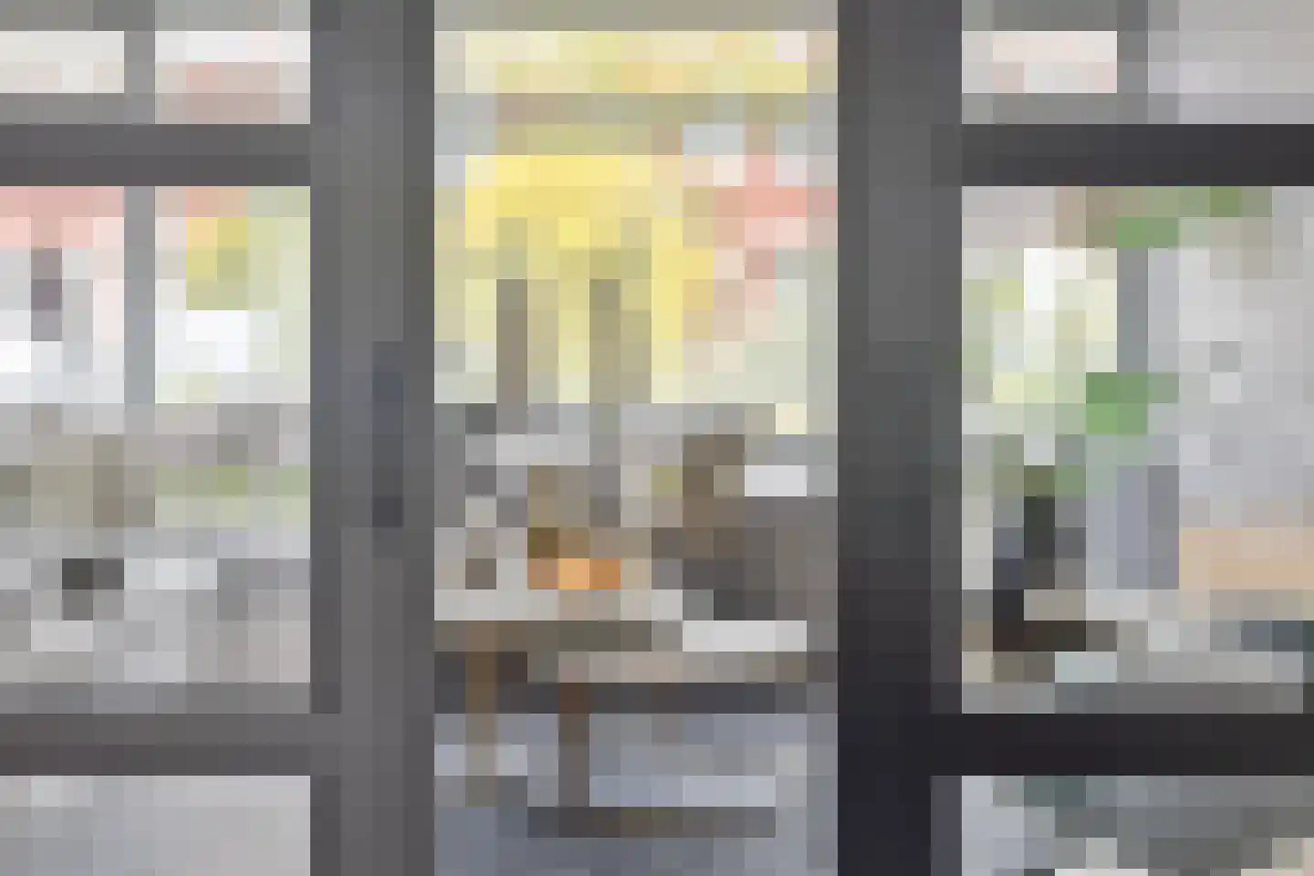 Zadelmaker 6 Oldenzaal thumbnail 8
