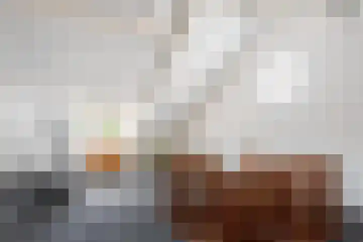 Zadelmaker 63 Oldenzaal thumbnail 18