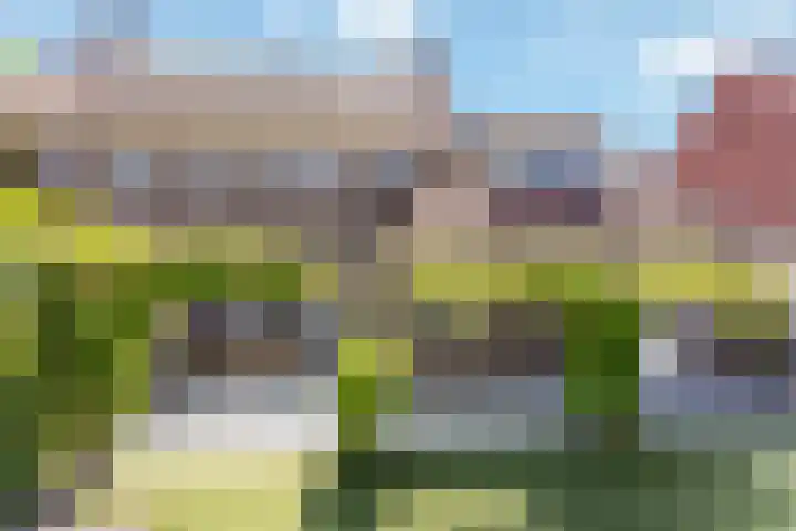 Zadelmaker 63 Oldenzaal thumbnail 19
