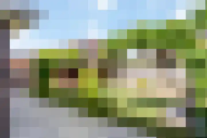 Zadelmaker 63 Oldenzaal thumbnail 20