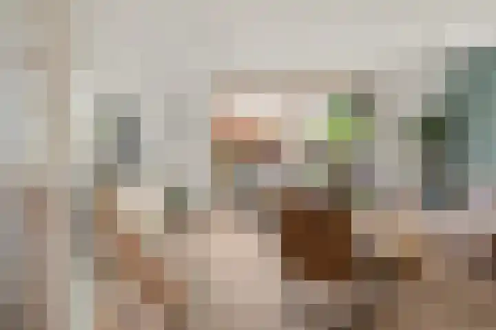 Zadelmaker 85 Alphen aan den Rijn thumbnail 11