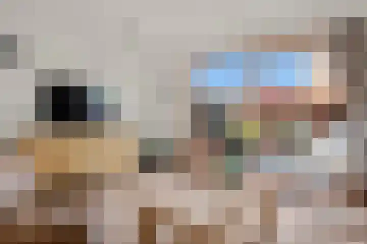 Zadelmaker 85 Alphen aan den Rijn thumbnail 14