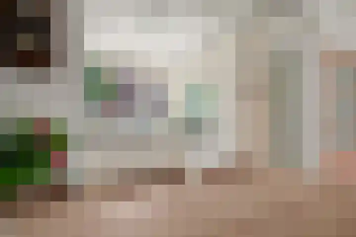 Zadelmaker 85 Alphen aan den Rijn thumbnail 18