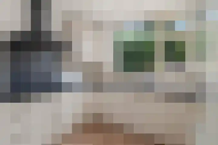 Zadelmaker 85 Alphen aan den Rijn thumbnail 19