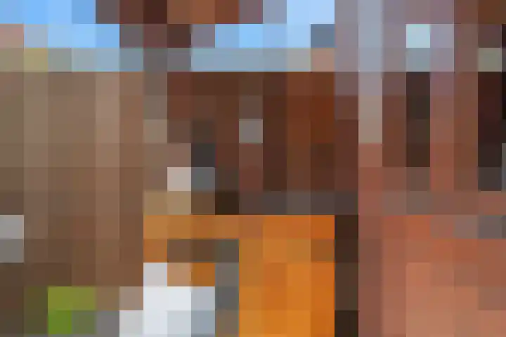Zadelmaker 85 Alphen aan den Rijn thumbnail 25