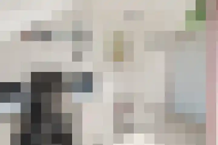 Zadelmaker 85 Alphen aan den Rijn thumbnail 37