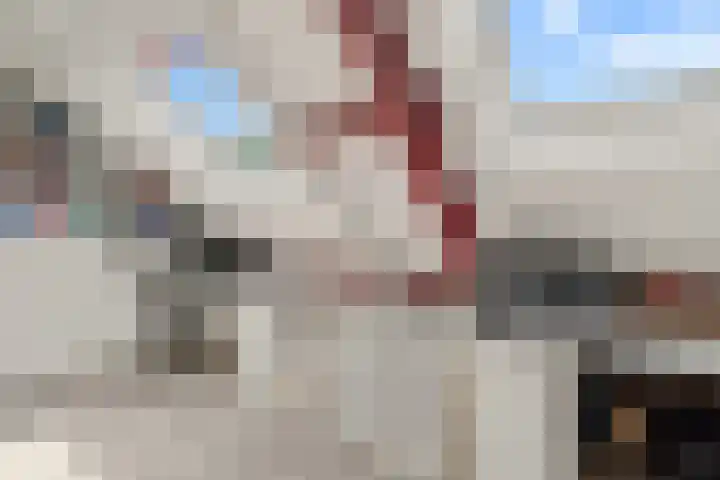 Zadelmaker 85 Alphen aan den Rijn thumbnail 38