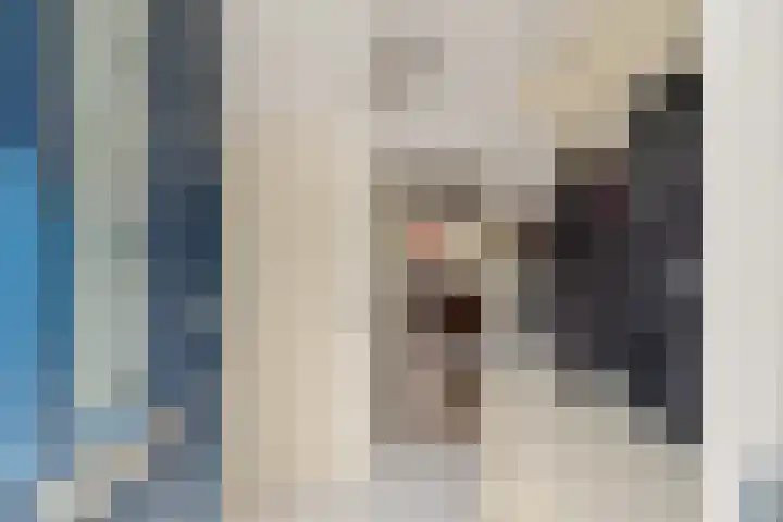 Zadelmaker 85 Alphen aan den Rijn thumbnail 8