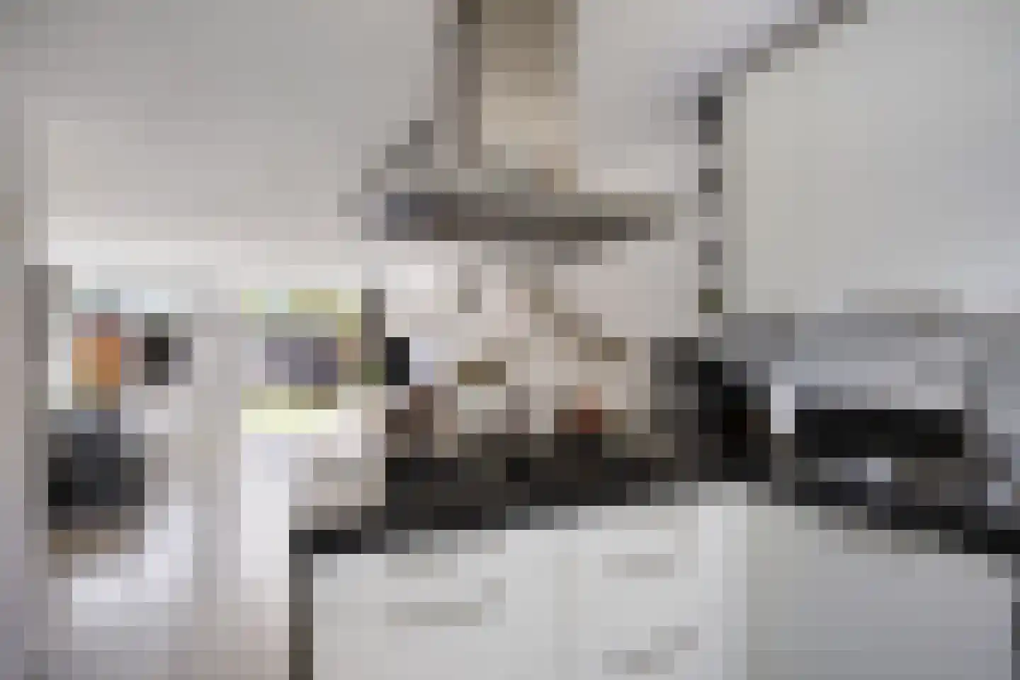 Zadelmaker 90 Alphen aan den Rijn thumbnail 11