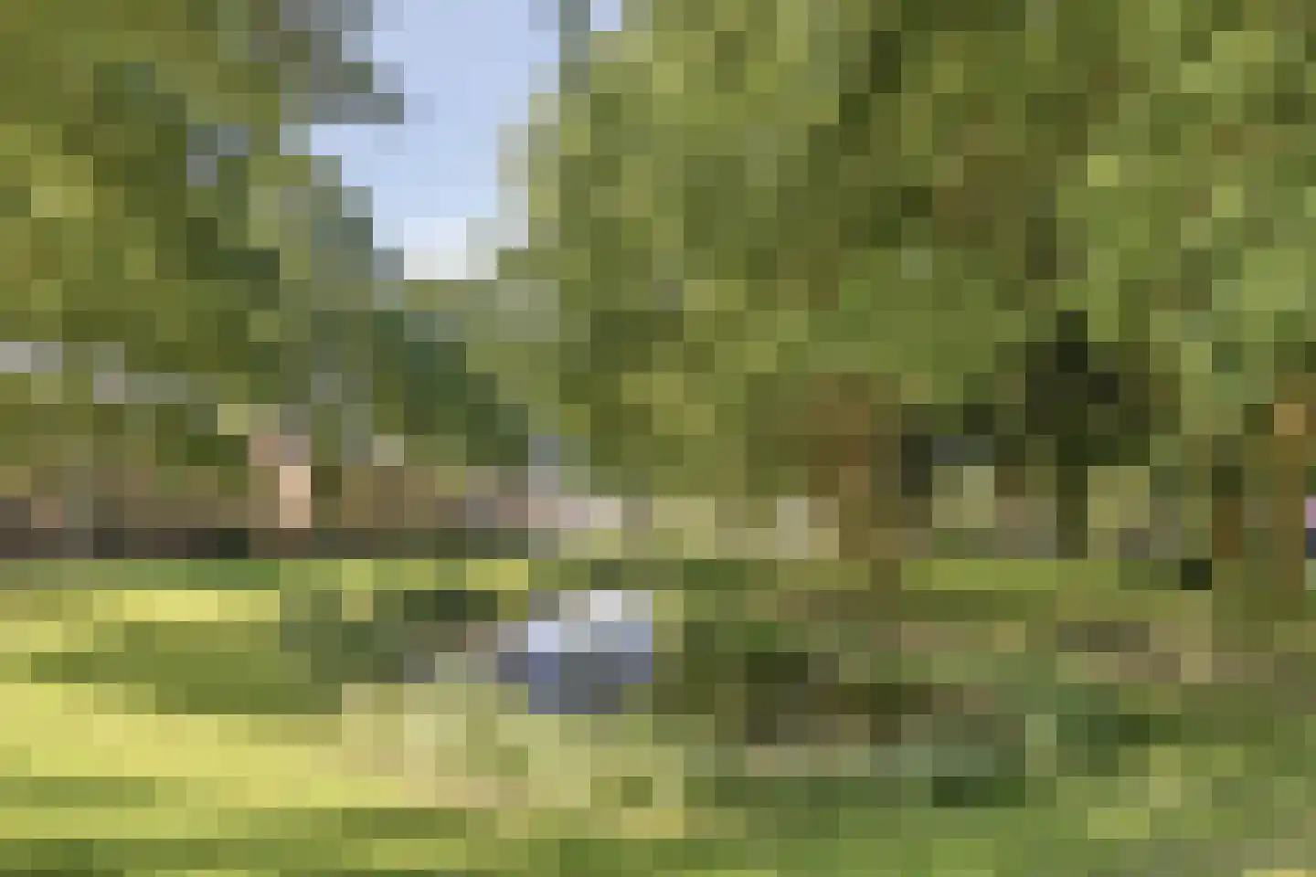 Zadelmaker 90 Alphen aan den Rijn thumbnail 34