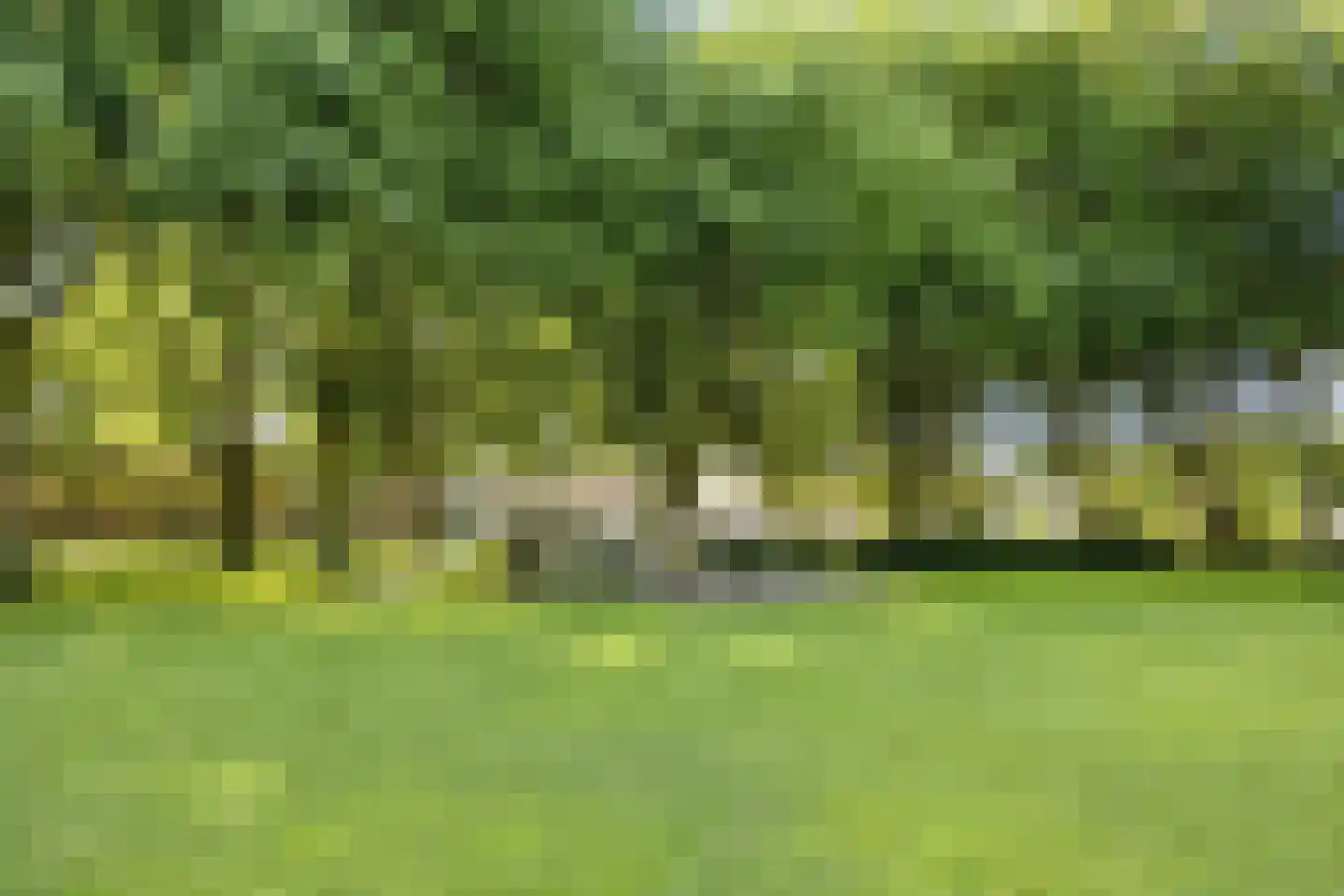 Zadelmaker 90 Alphen aan den Rijn thumbnail 37