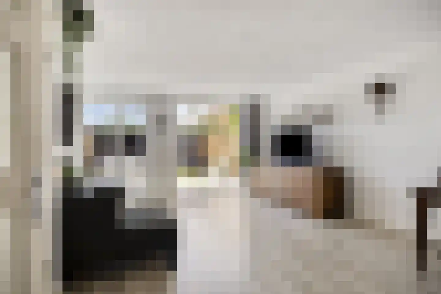 Zadelmaker 90 Alphen aan den Rijn thumbnail 5