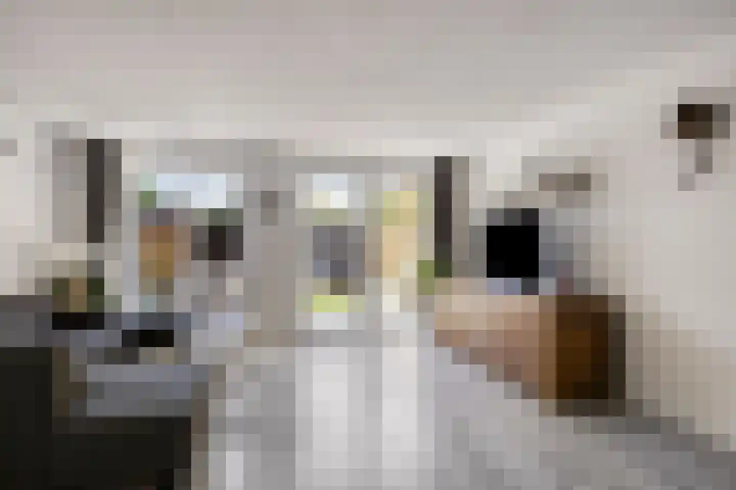 Zadelmaker 90 Alphen aan den Rijn thumbnail 6