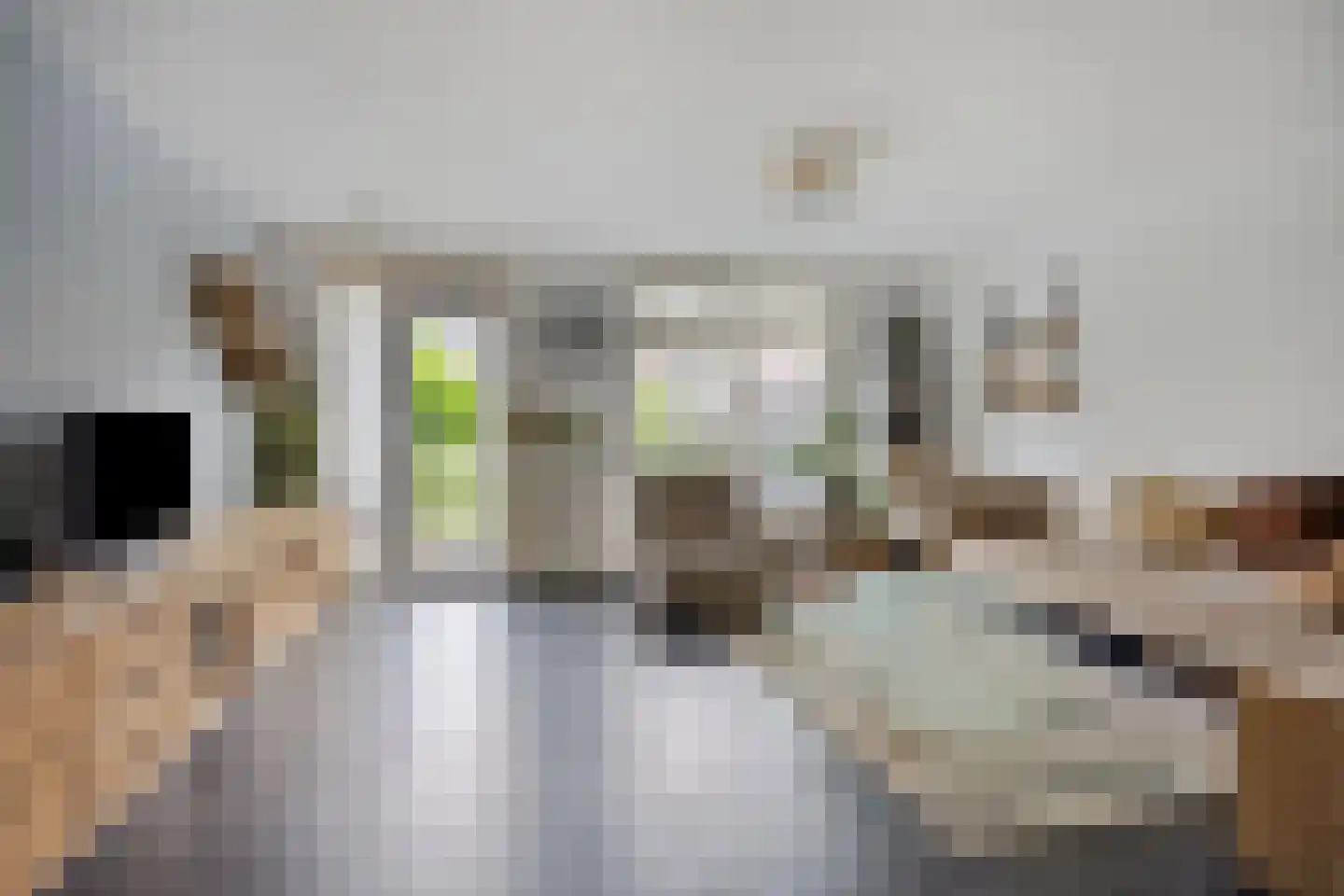 Zadelmakerhof 15 Schiedam thumbnail 10