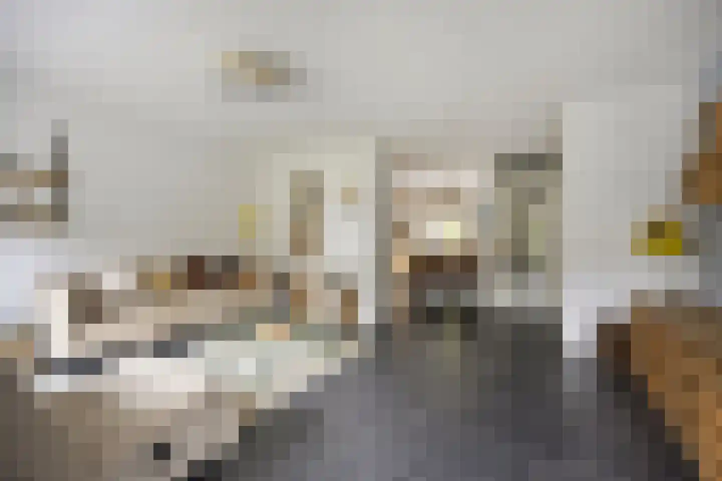 Zadelmakerhof 15 Schiedam thumbnail 11