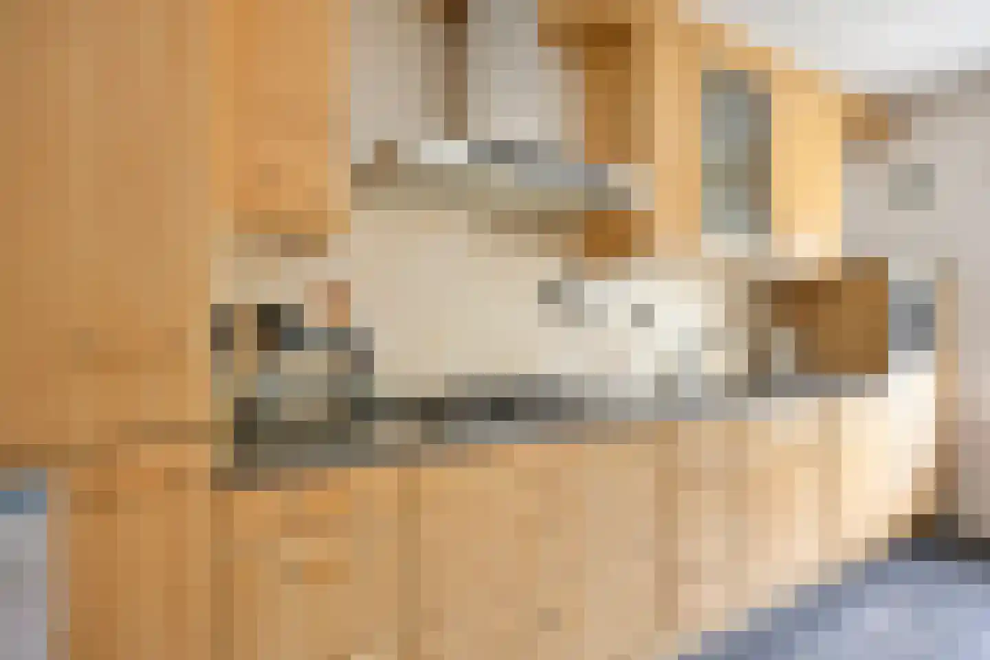 Zadelmakerhof 15 Schiedam thumbnail 14