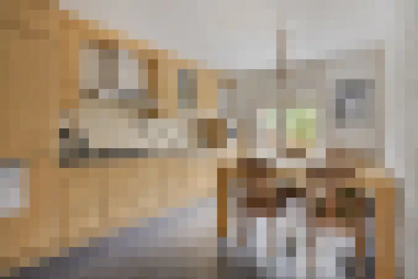 Zadelmakerhof 15 Schiedam thumbnail 15