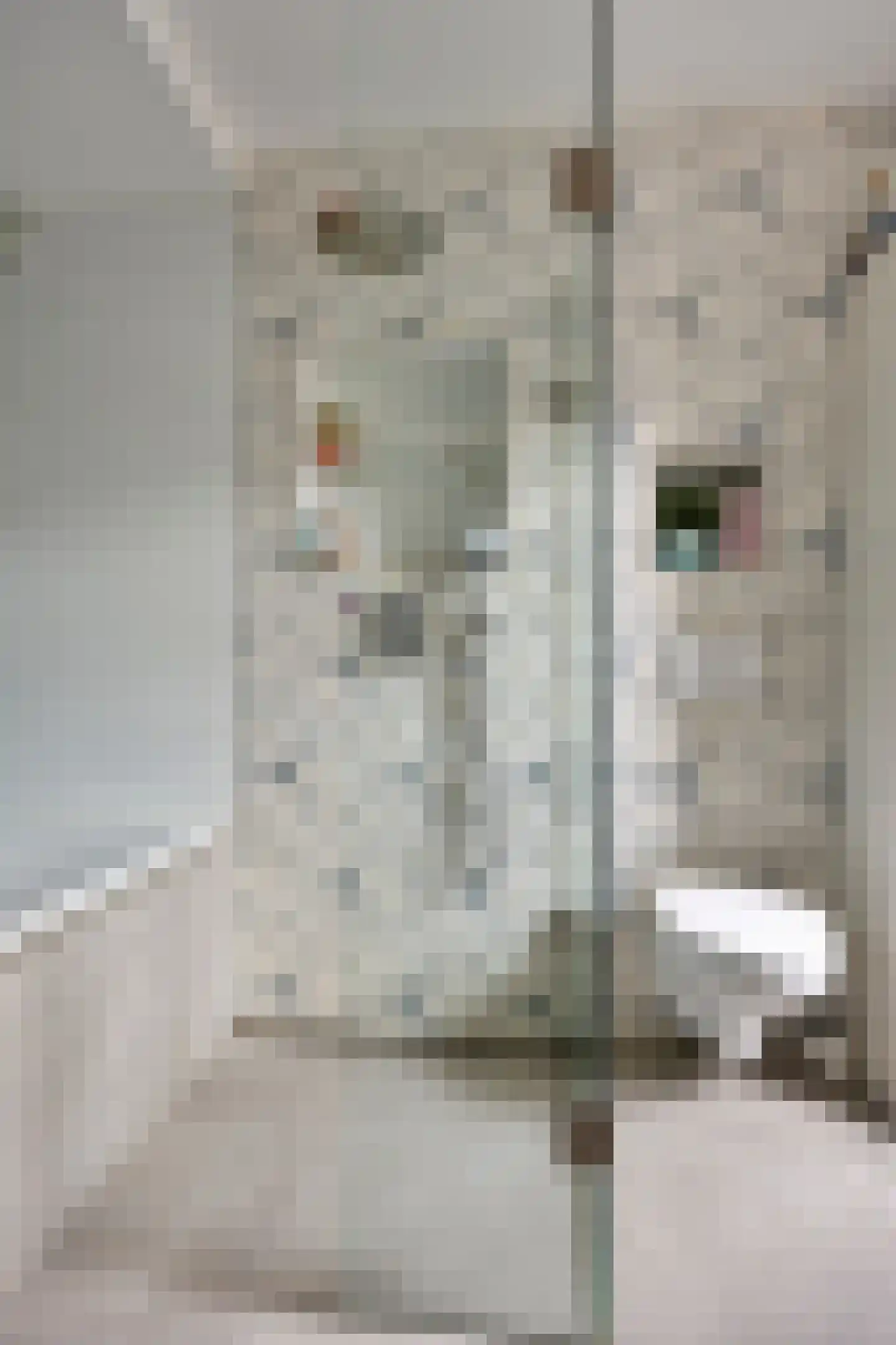 Zadelmakerhof 15 Schiedam thumbnail 27