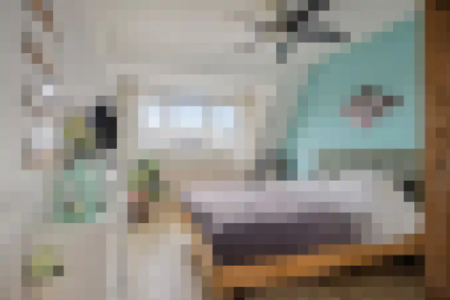Zadelmakerhof 15 Schiedam thumbnail 35
