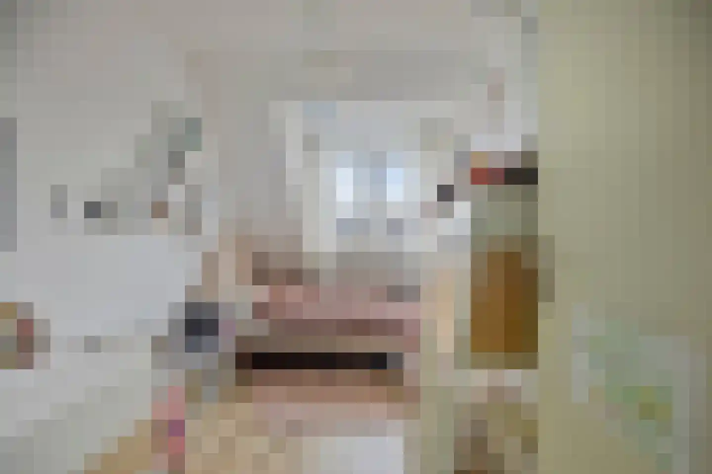Zadelmakerhof 15 Schiedam thumbnail 37