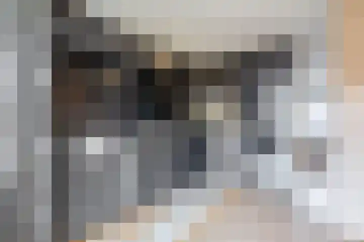 Zadelmakerhof 5 Schiedam thumbnail 14