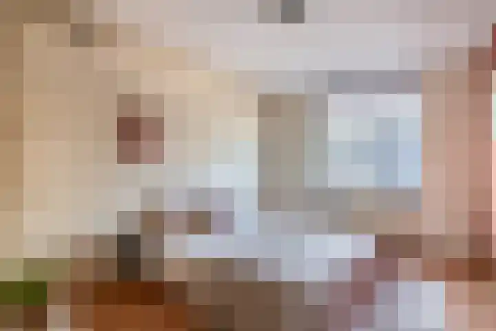 Zadelmakerhof 5 Schiedam thumbnail 23
