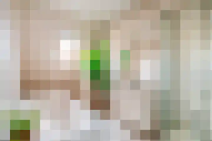 Zadelmakerhof 5 Schiedam thumbnail 25