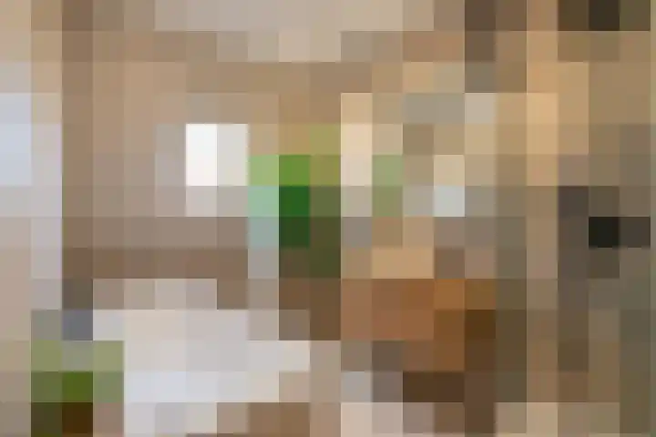 Zadelmakerhof 5 Schiedam thumbnail 26