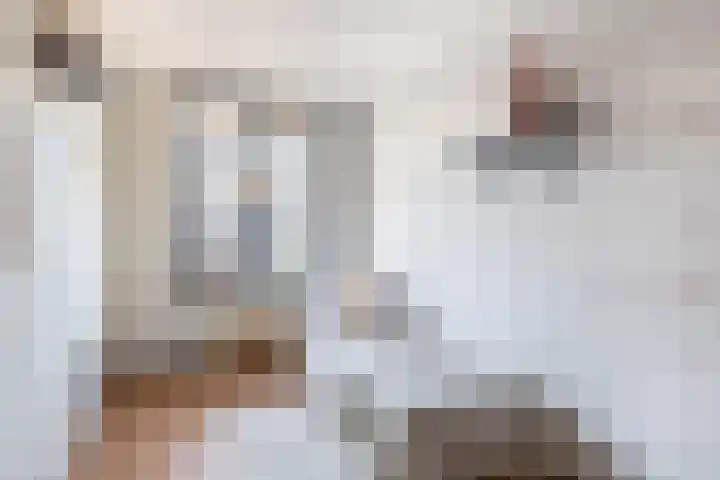 Zadelmakerhof 5 Schiedam thumbnail 29