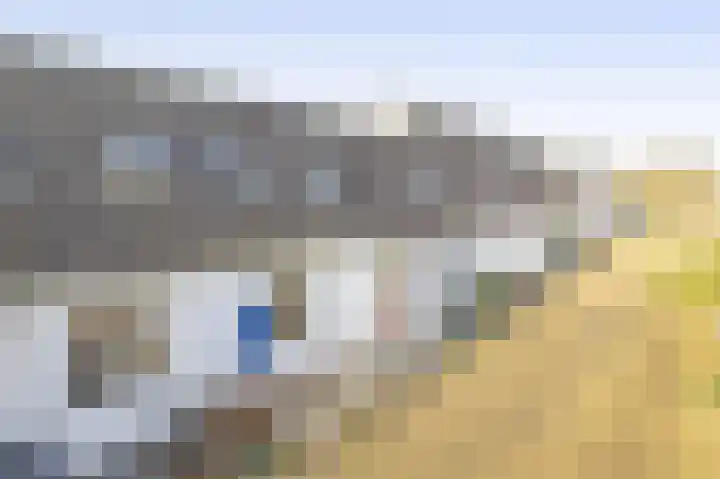 Zadelmakerhof 5 Schiedam thumbnail 33