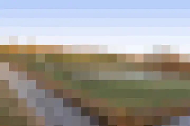 Zadelmakerhof 5 Schiedam thumbnail 37
